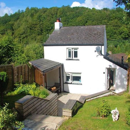 Peacock Cottage Cinderford Eksteriør bilde