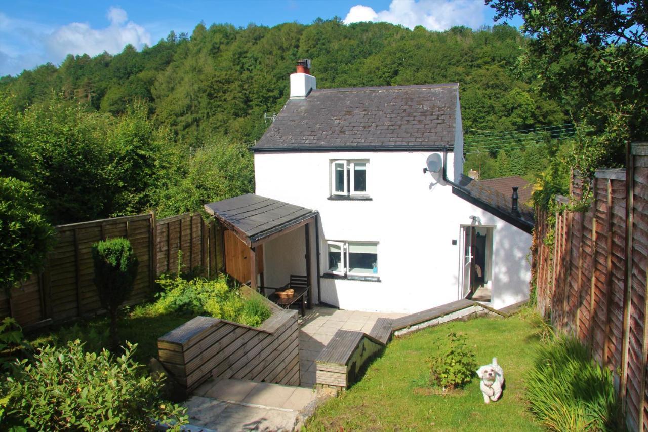 Peacock Cottage Cinderford Eksteriør bilde